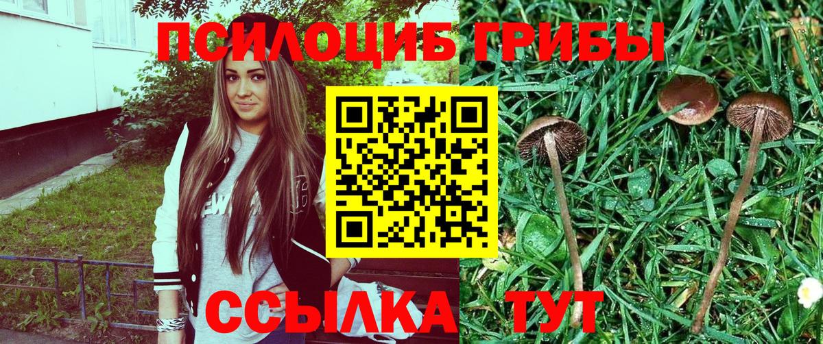 Серов  Галлюциногенные грибы мухоморы  Вход с VPN 
