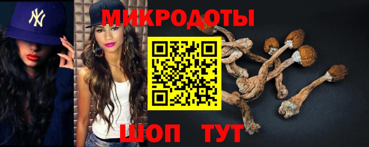 Галлюциногенные грибы Psilocybe Серов
